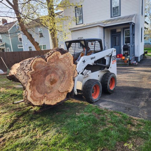 All Photos for Carpenter's Tree Service in Aurora, IN
