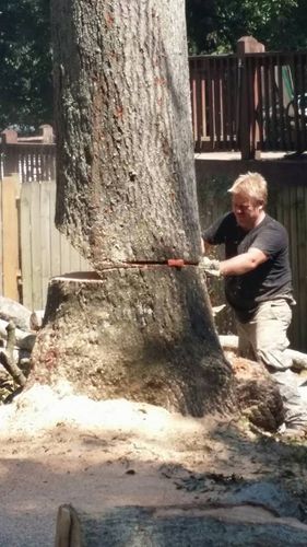  for Professional Tree Service USA in Chattanooga, TN