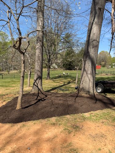 All Photos for John Lawns in Candler, NC