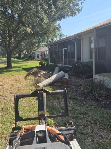 Stump Grinding for TREE BOYS in Ruskin, FL