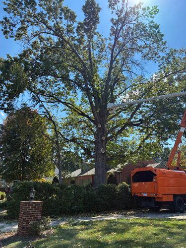  for Brocks Tree Service LLC in Rogersville, TN