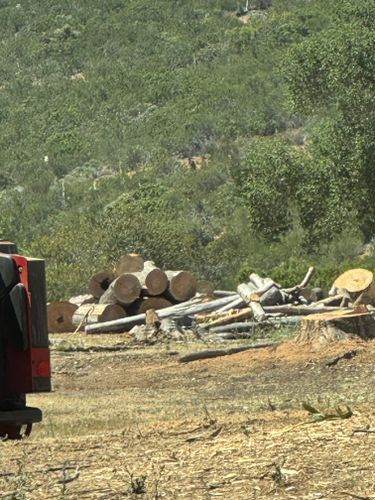 Tree Services for The Tree Fairy in Julian, CA