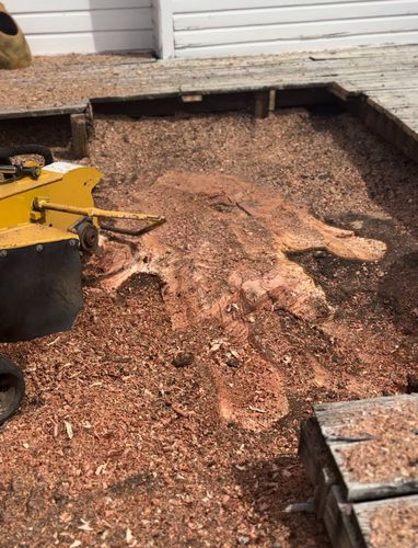 Stump Removal for Superior Lawn and Tree LLC in Clifton, TX