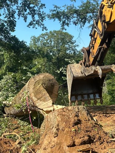 Tree Trimming & Removal for A.P Land Management in Atlanta, Ga