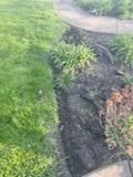 for Bearforce Lawn Care LLC in Greenfield, IN