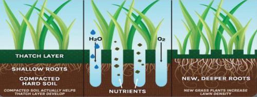 Garden Installation for B&L Management LLC in East Windsor, CT