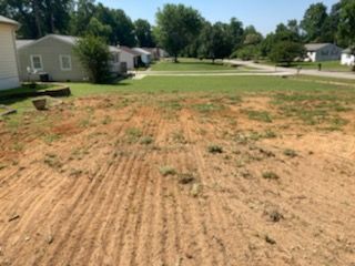 Tree Removal for Mr Greens Landscaping in Chesterfield, VA