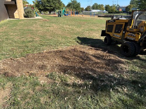 Stump Removal for Conrad's Stump Removal in Columbus, IN
