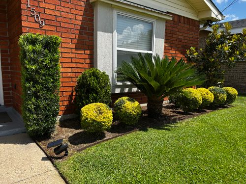  for Jay C’s Touch Landscaping & Pressure Washing Services LLC in Marrero, LA