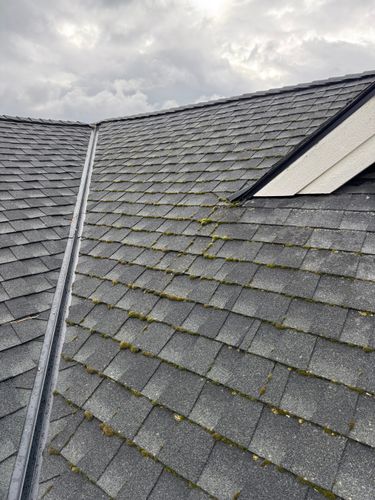 All Photos for Swift Serve in Coeur d'Alene, ID