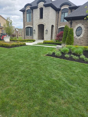  for Ivy Lawn and Landscaping in Oxford, MI
