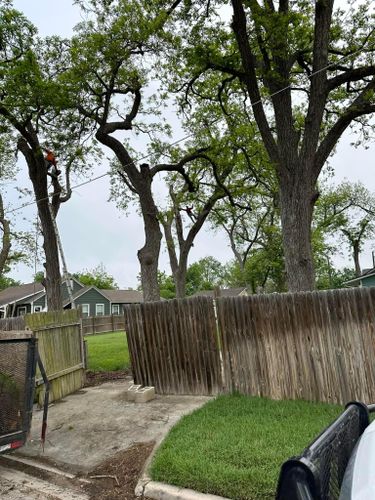 Mowing for Allen Lawn Care in Taylor, Texas