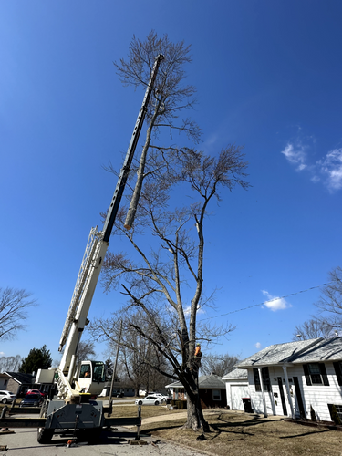  for Advanced Tree Solutions in Rockville, IN