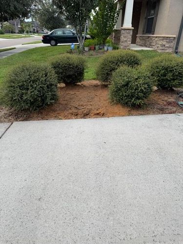  for Greene Acres Stump Grinding in Plant City, FL