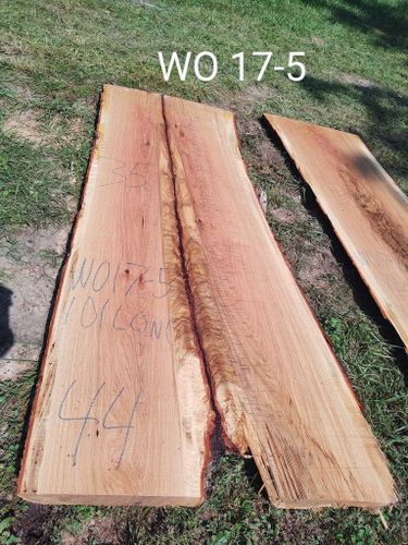 All Photos for Bennett Logging in Gosport, Indiana