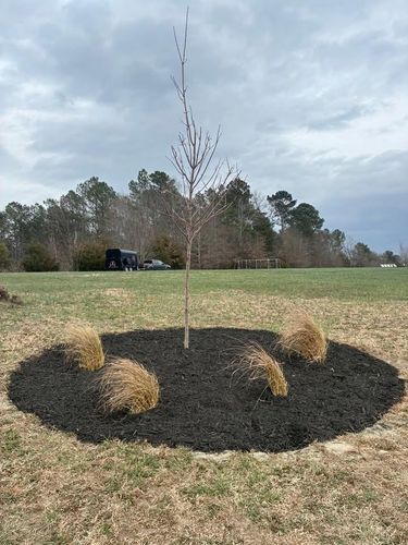 Landscape Design for Palmetto State Landscaping in Gaffney, SC