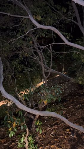 Lighting Installs for AMPED UP ELECTRICAL in Spartanburg, SC