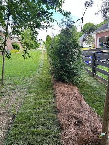 Landscaping for Optimum Tree Service And Landscaping in Bowling Green, KY