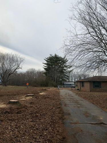  for McBee’s Tree Service in Sewanee, TN