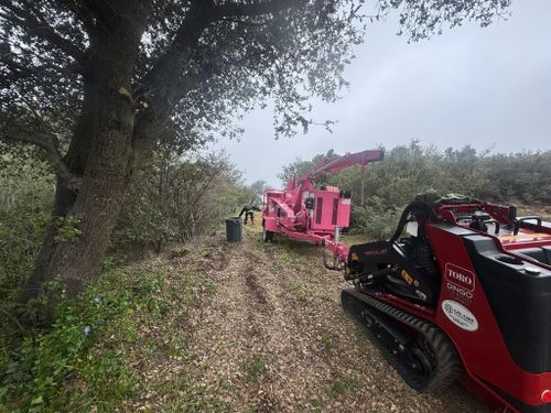 Property Clean Up for The Tree Fairy in Julian, CA