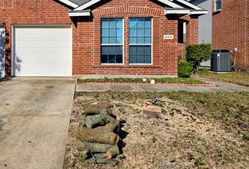 All Photos for Lavon Lawn Plus in Lavon, TX