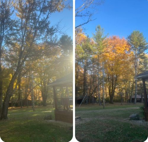  for McBee’s Tree Service in Sewanee, TN