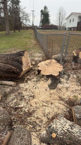 All Photos for Ramirez Tree Care in Elkin, NC