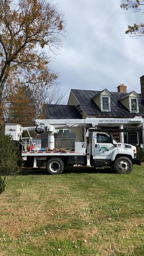All Photos for Gray's Tree Service Inc in Maurertown, VA