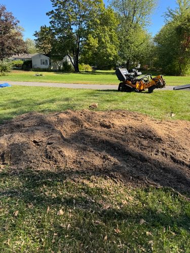 Stump Removal for Jills Stump Grinding and Firewood in Shelton, CT