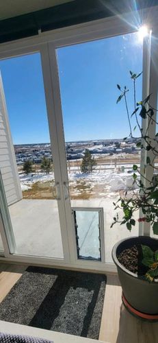 Pet Door Installation for Pane -N- The Glass in Rock Hill, SC