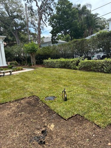  for Gulf Bay Sod in Clearwater, FL