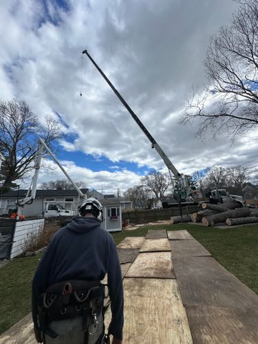  for Powells Tree Service Inc. in Cape Cod, MA