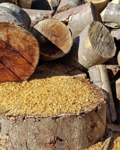  for Oakwood Tree Removal LLC in Oak Creek,  WI