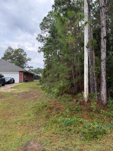Tree Removal for Happy Saplings LLC in Navarre, FL