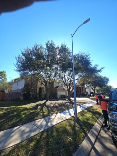  for Servin's Tree Care  in Houston, TX