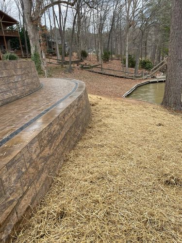 Tree Removal for Rosales Landscaping LLC in Lake Gaston, North Carolina