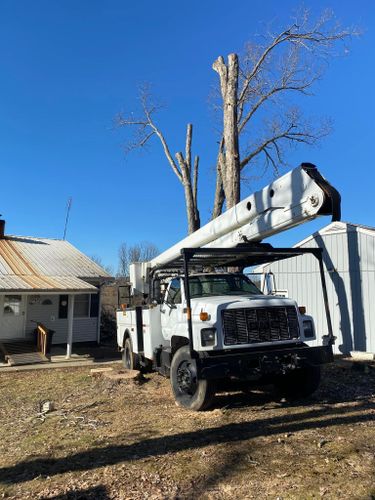 Fall and Spring Clean Up for Atwood’s Tree Care in Liberty,  KY