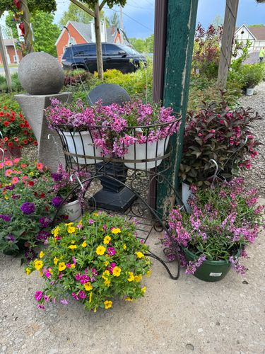 Gardening for Mayfield Landscaping in Staunton, IL