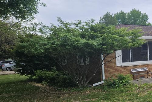 Tree Pruning & Trimming for Highborn Tree Service in Wheatfield, IN