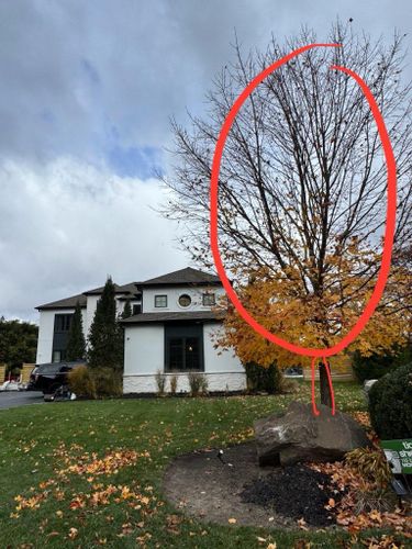 All Photos for Unique Outdoor Lighting in Short Hills, NJ