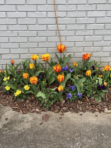 Bed Weed Control for Earth First Turf, LLC in Cherokee County, GA