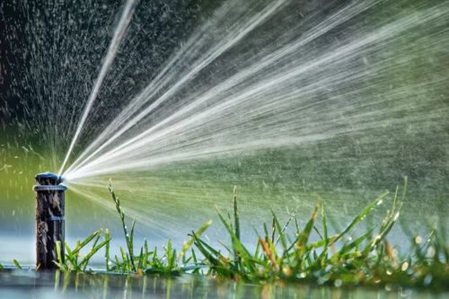 Irrigation Design Services for RSI Sprinklers & Drainage  in Southwest Houston, TX