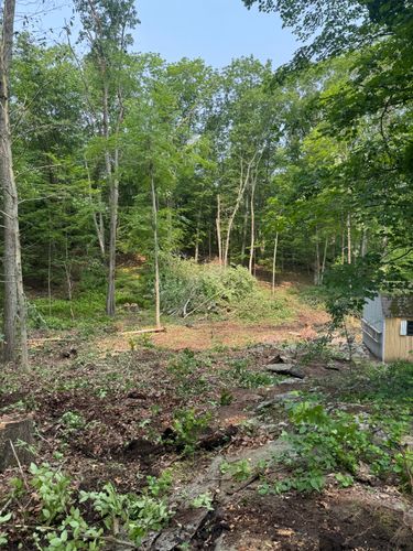 Land Clearing for Davis Services  in Bethany, CT