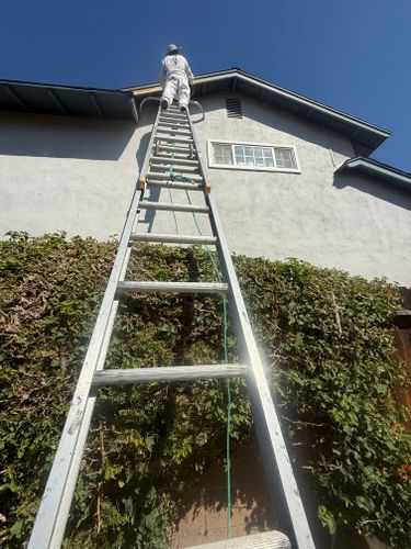 All Photos for A1 Painting Service in Anaheim, CA