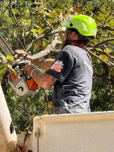  for H n H Tree Service in Taneyville, MO