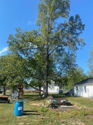 Fall and Spring Clean Up for Atwood’s Tree Care in Liberty,  KY