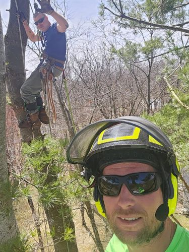 All Photos for AAA Tree Cutting in Shavertown, PA