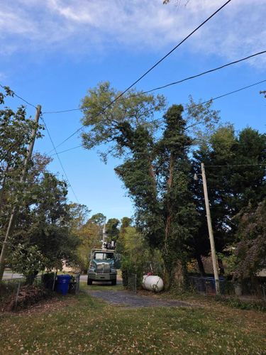  for Darbie's Tree Service in Newburg,  MD