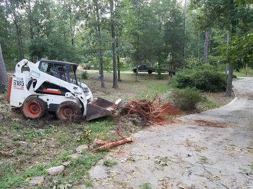 Tree removal for D&D Unlimited Landscaping in Hartwell, GA