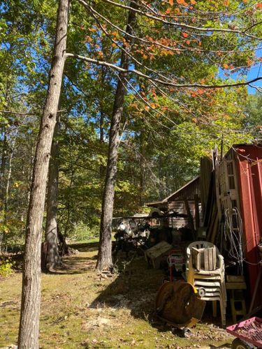 Fall and Spring Clean Up for Atwood’s Tree Care in Liberty,  KY